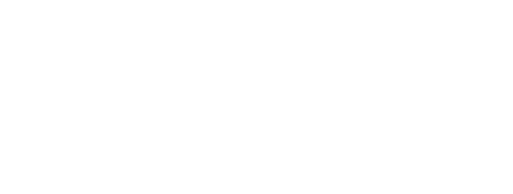 Vireon-Advisory_Logo-white